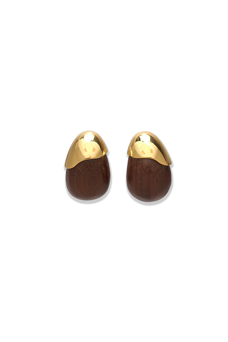 TORO EARRINGS